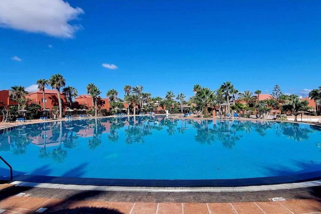 Appartamento Bouganville Con Terrazza E Piscina Corralejo Esterno foto
