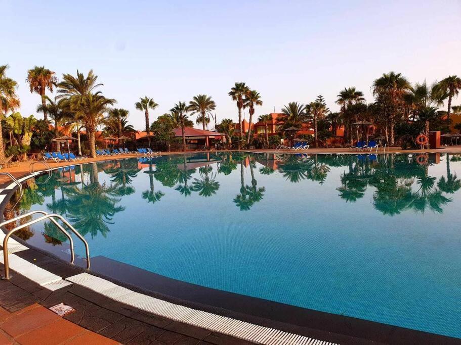 Appartamento Bouganville Con Terrazza E Piscina Corralejo Esterno foto