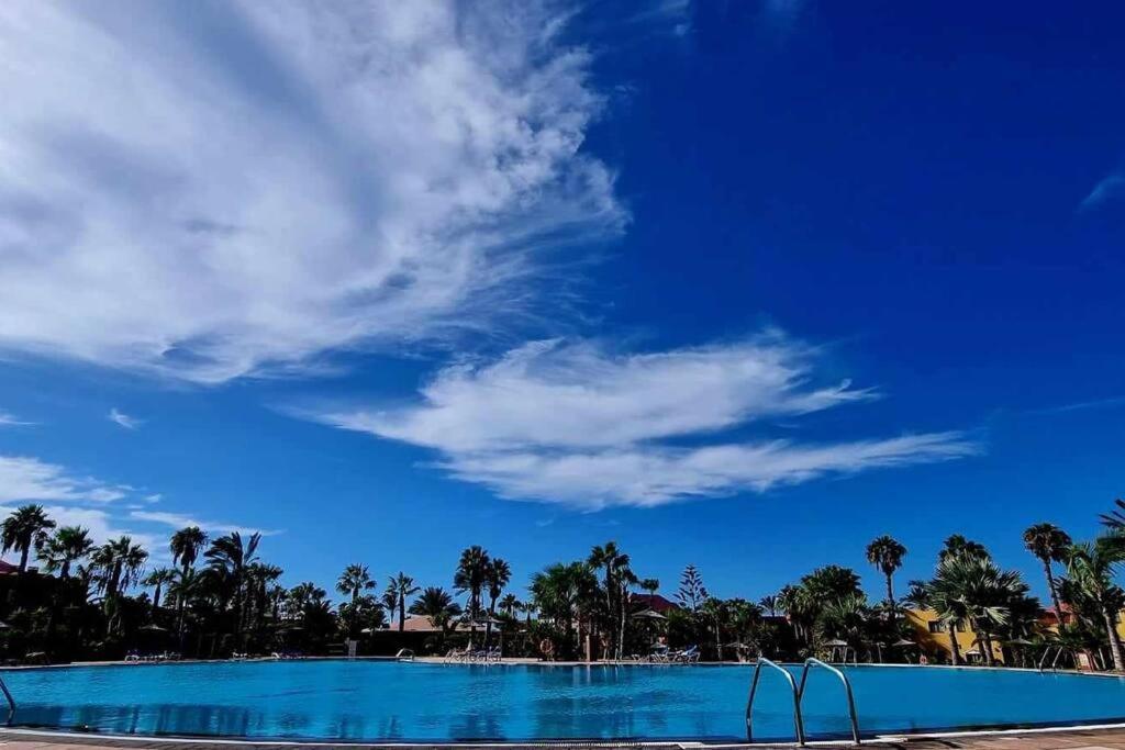 Appartamento Bouganville Con Terrazza E Piscina Corralejo Esterno foto